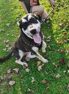 The Difference Between Recognition