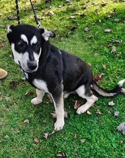 The Difference Between Recognition thumbnail 4