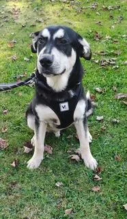 The Difference Between Recognition thumbnail 5