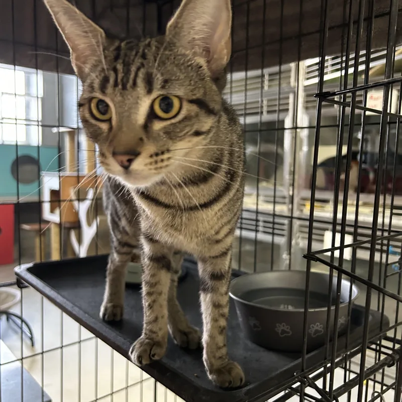 Thursday thumbnail 2