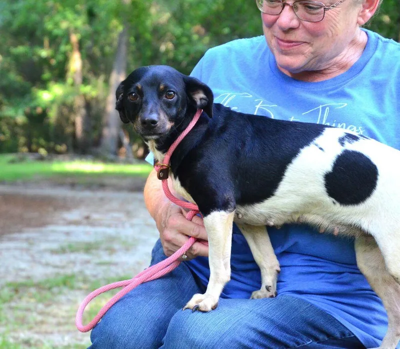 Bessie thumbnail 3