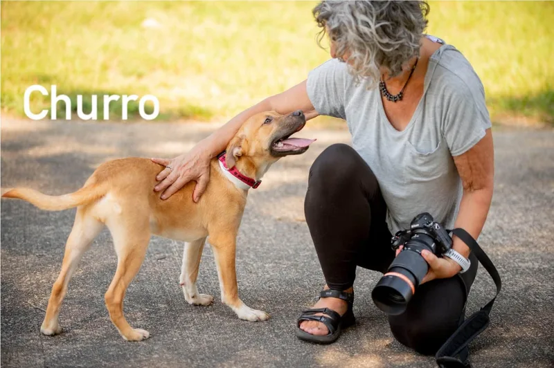 Churro thumbnail 2