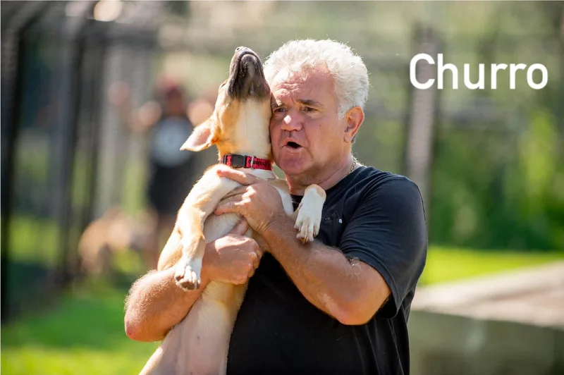 Churro thumbnail 6