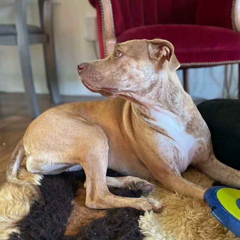 Sunshine thumbnail 2