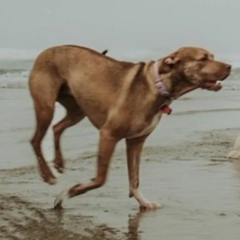 Sunshine thumbnail 3