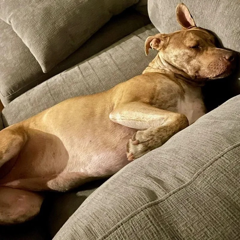 Sunshine thumbnail 4