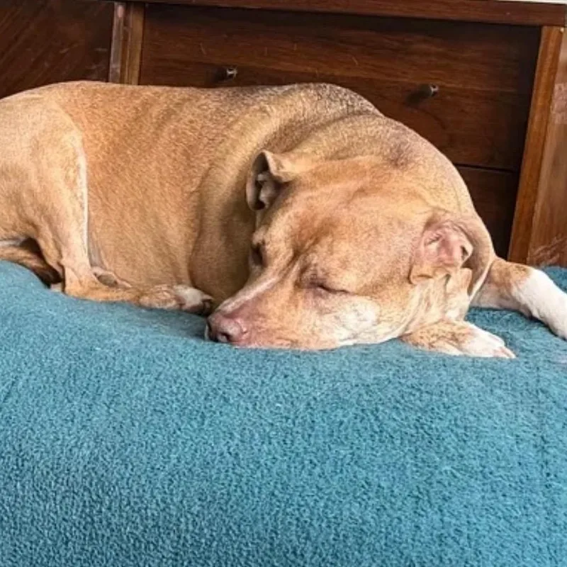 Sunshine thumbnail 5