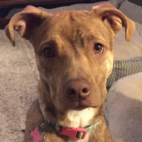 Sunshine thumbnail 6