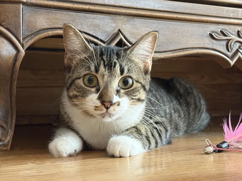 Maggie thumbnail 2