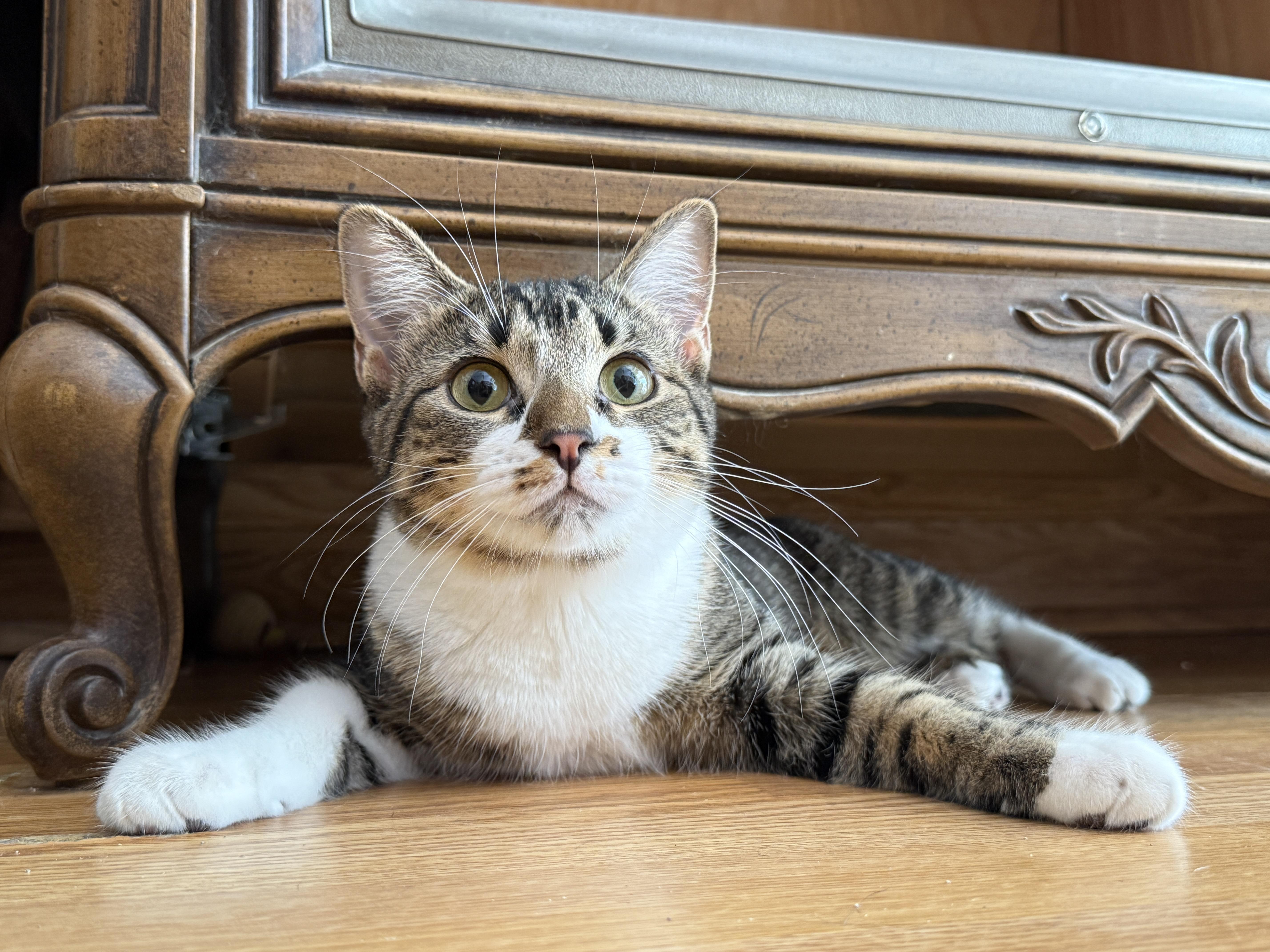 Maggie thumbnail 3