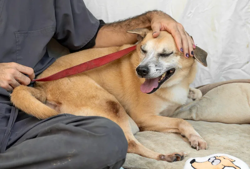 Salem & Harlem thumbnail 2