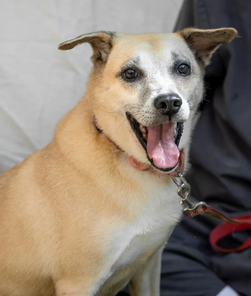 Salem & Harlem thumbnail 4