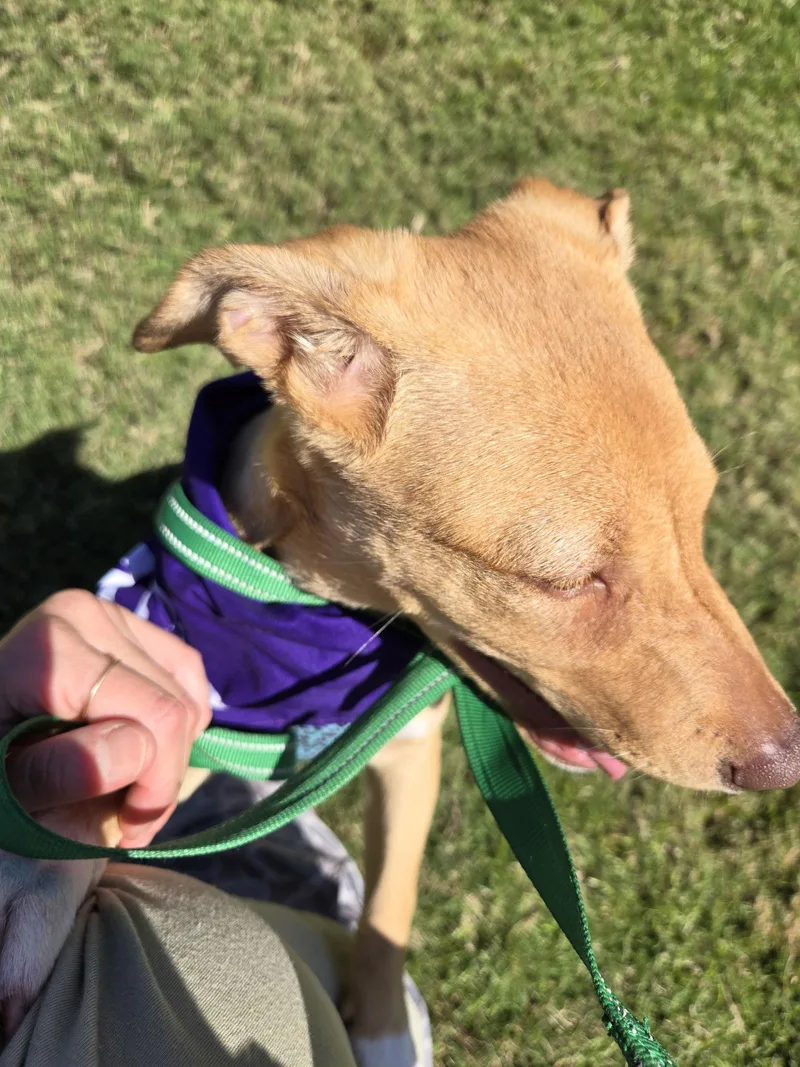 Snuggles thumbnail 2