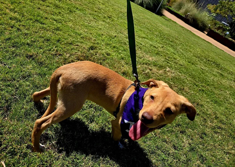 Snuggles thumbnail 3