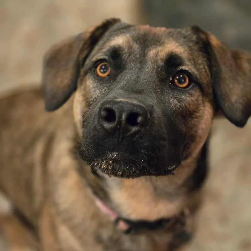 Helly R. thumbnail 2