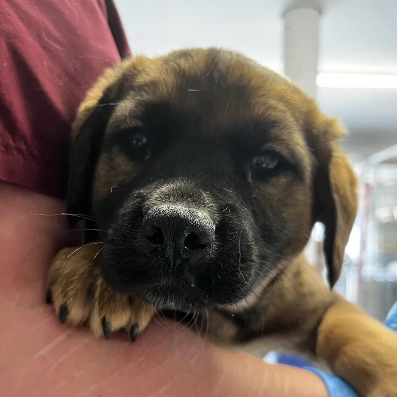 Helly R. thumbnail 3