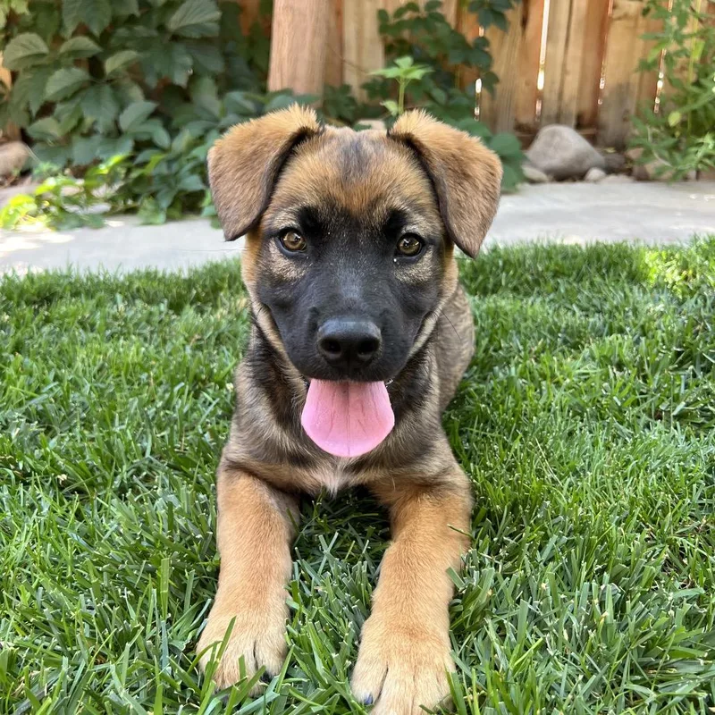 Helly R. thumbnail 4