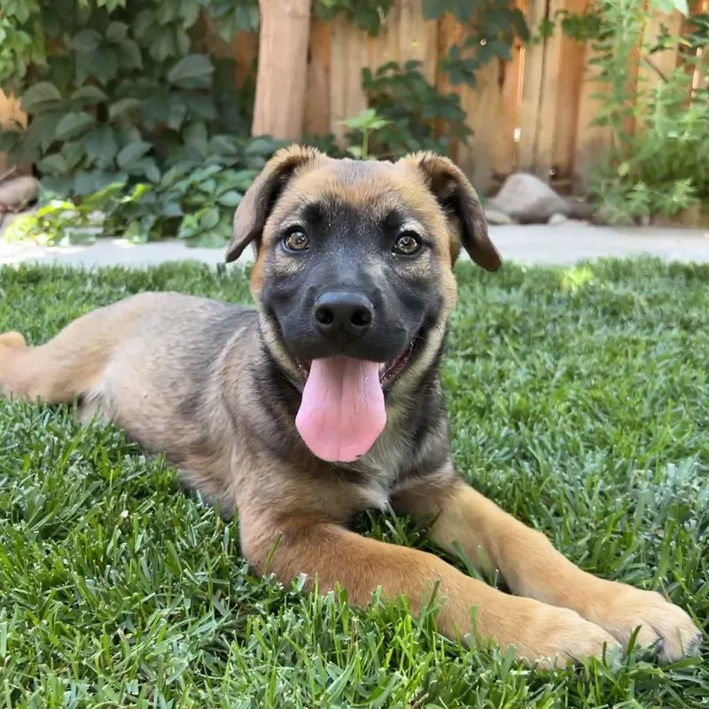 Helly R. thumbnail 5