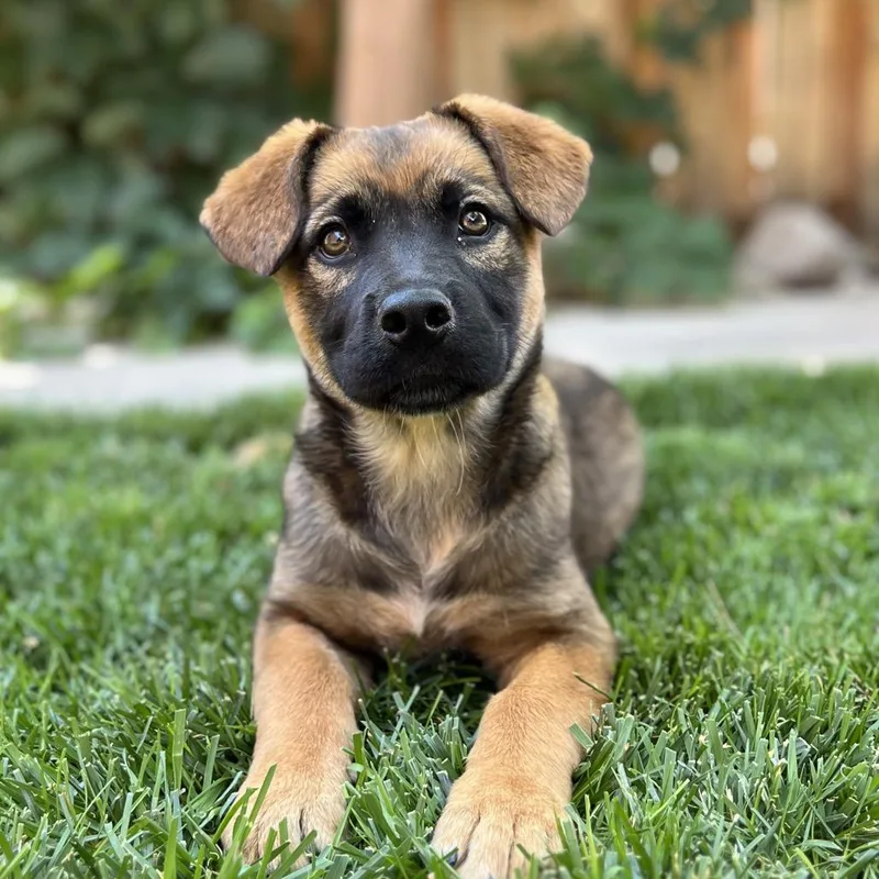 Helly R. thumbnail 6