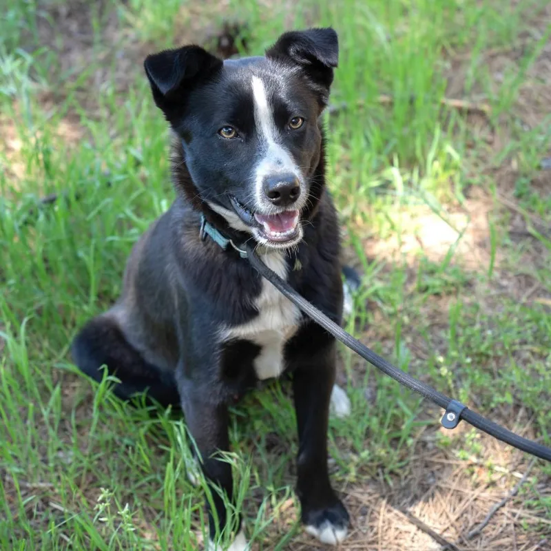 Obsidian thumbnail 4