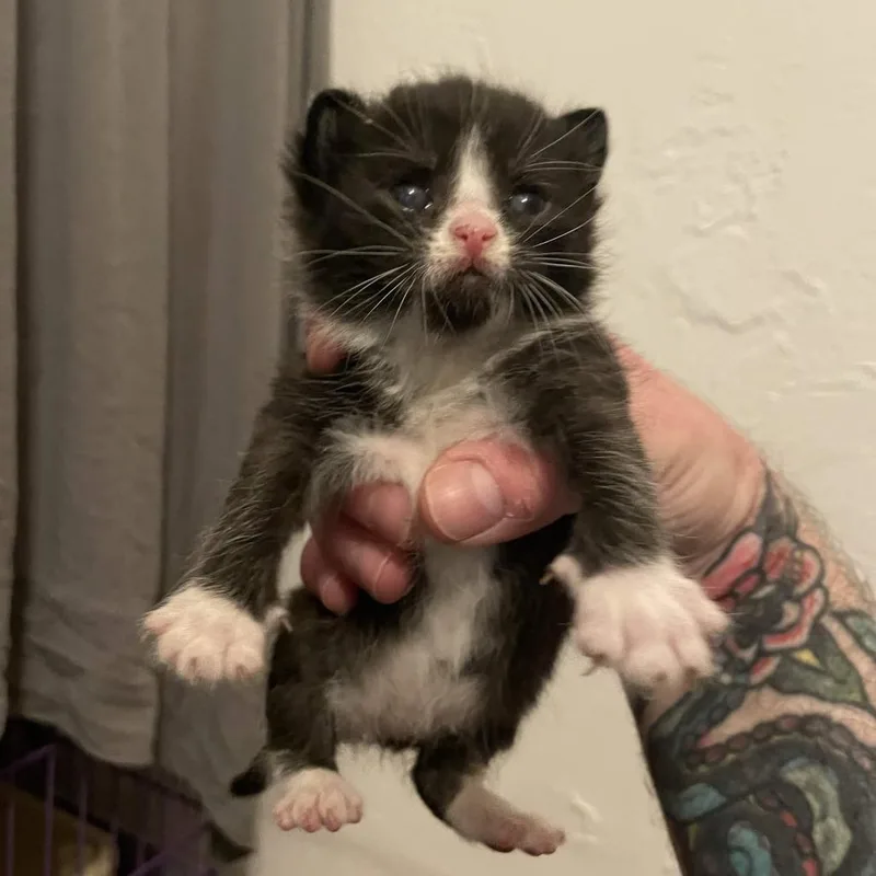Keiko
