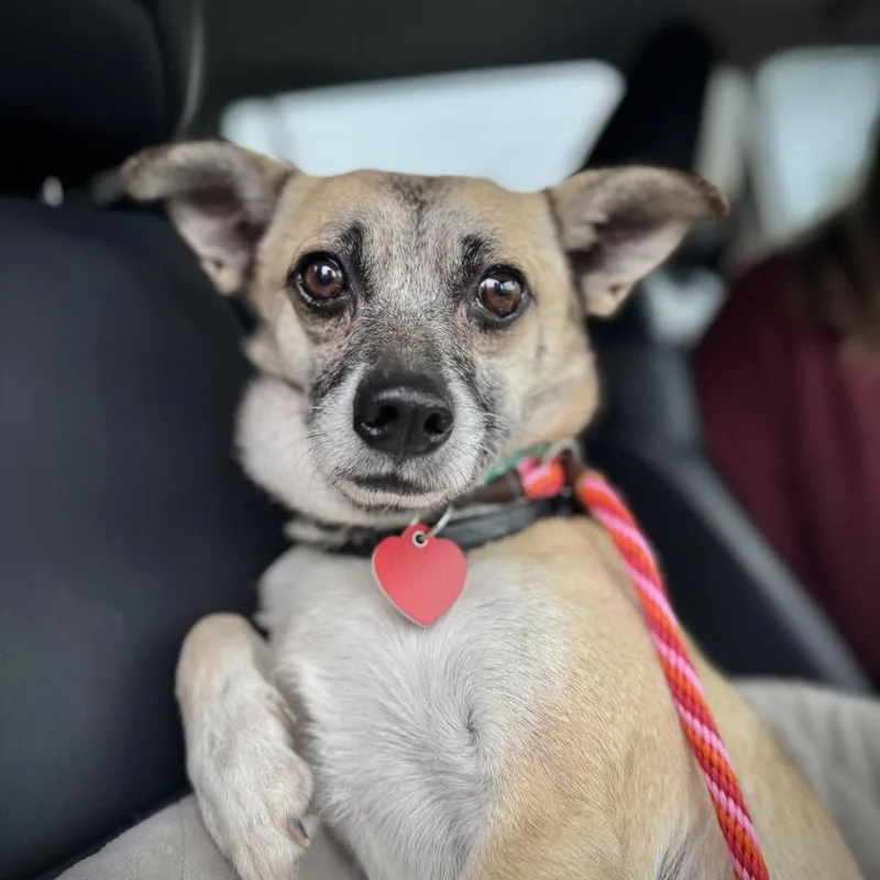 Marty Supreme thumbnail 2