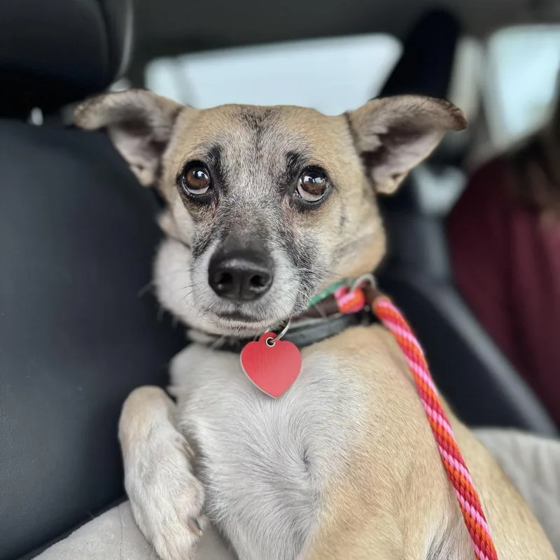 Marty Supreme thumbnail 5