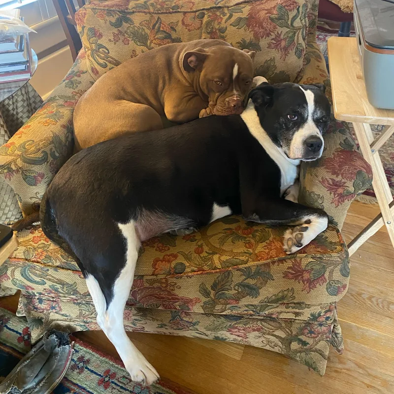 Trudy ~ A Fun thumbnail 2