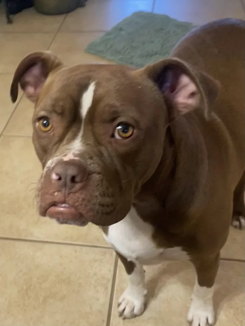 Trudy ~ A Fun thumbnail 3