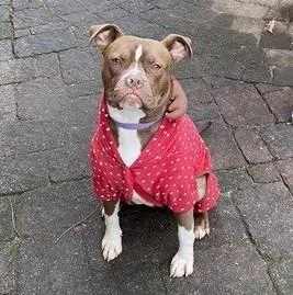 Trudy ~ A Fun thumbnail 4