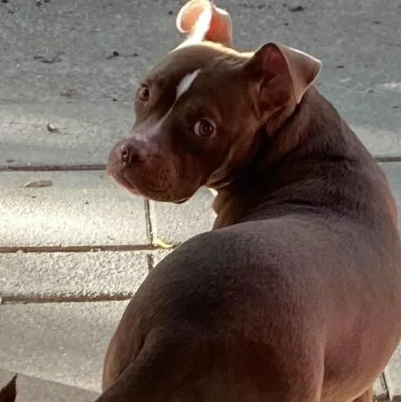 Trudy ~ A Fun thumbnail 5