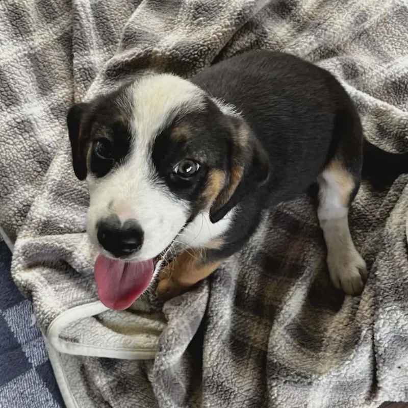 Marley