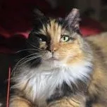 Gemma Mae "gemgem"