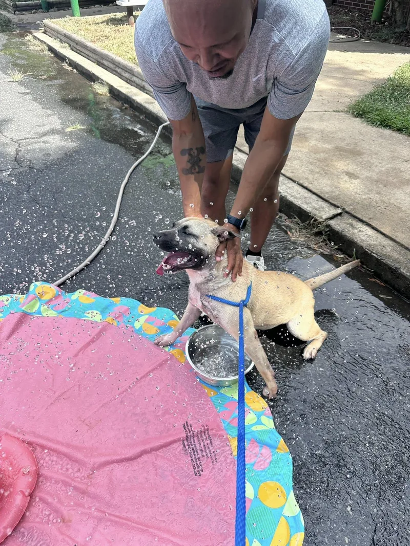 Polly Pocket thumbnail 3