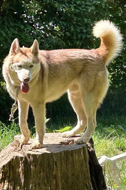 Zeus