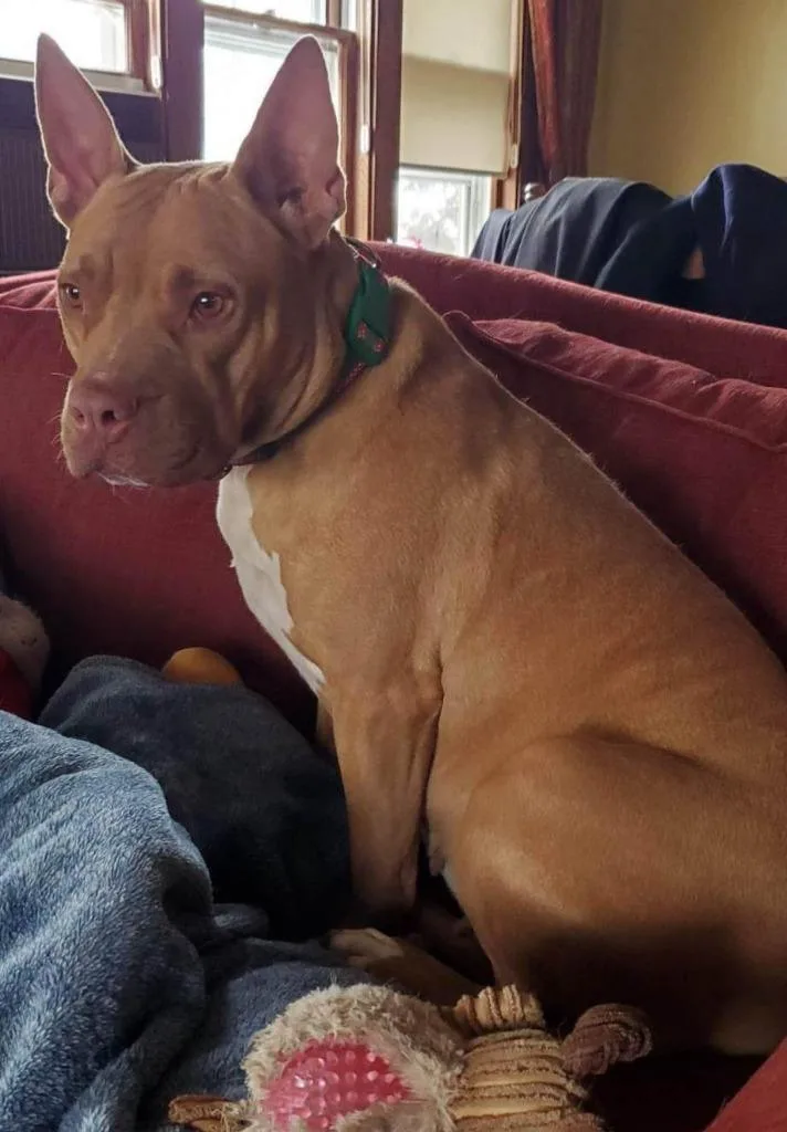 Penny Brady thumbnail 2