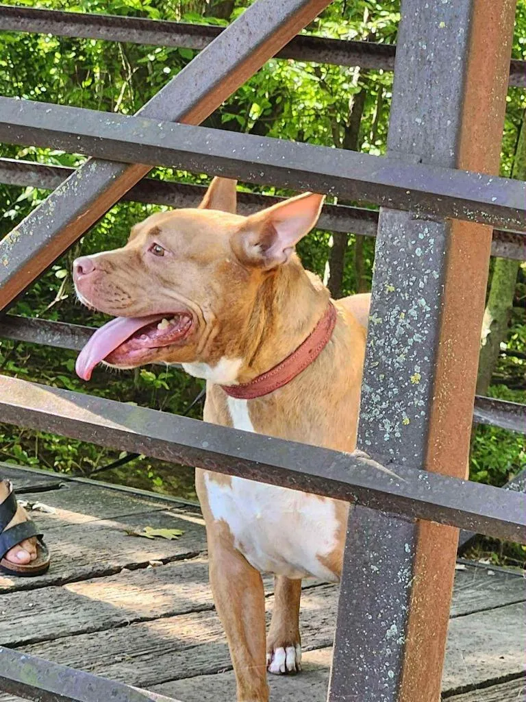 Penny Brady thumbnail 3