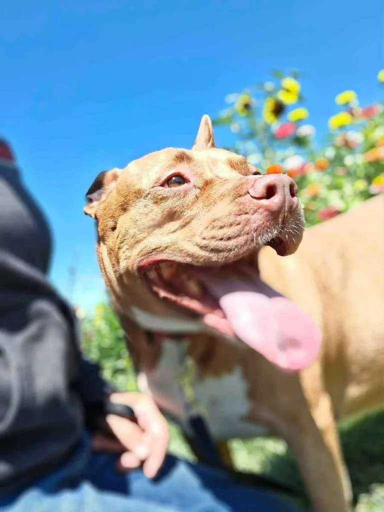 Penny Brady thumbnail 4