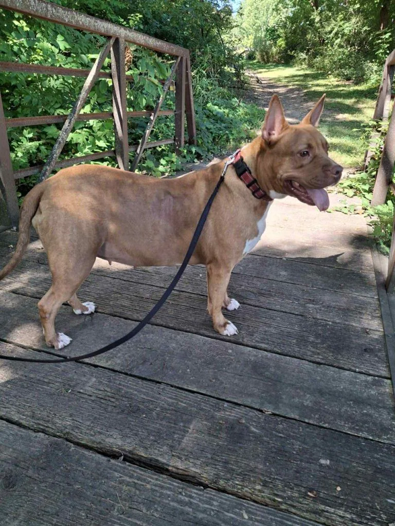 Penny Brady thumbnail 5