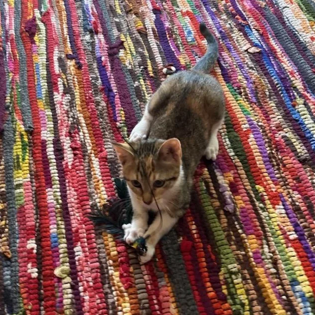 Tweak  Athens  thumbnail 4