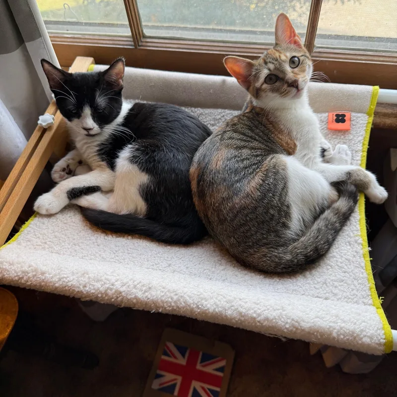 Tweak  Athens  thumbnail 5