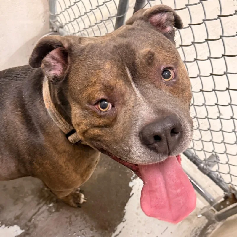 Marshall Tucker thumbnail 2