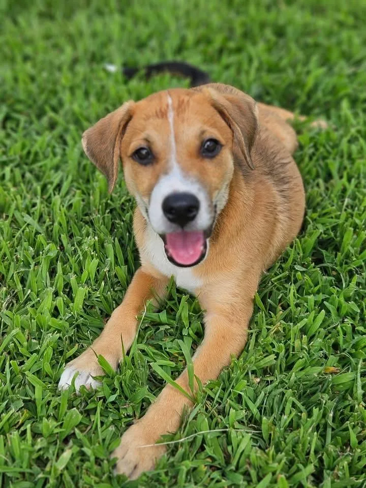 Truman