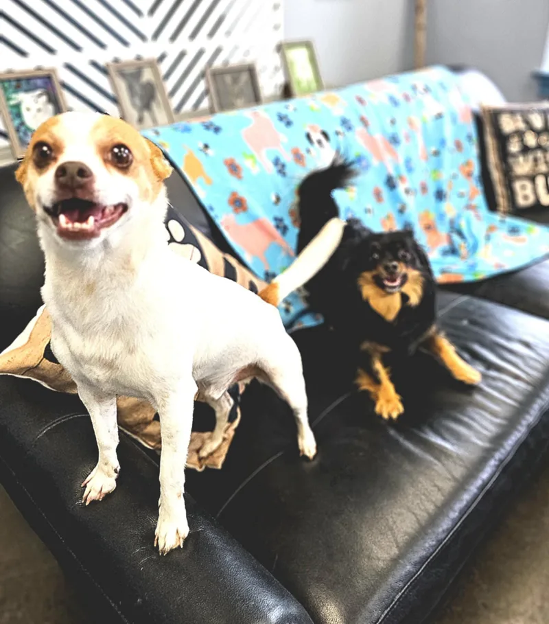 Carmelo And Valentino thumbnail 3