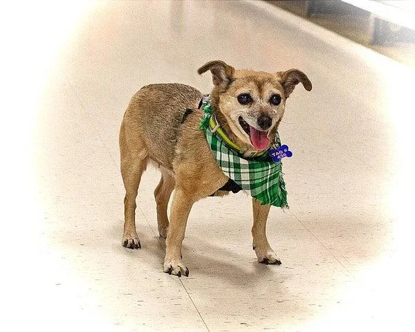 Little Lilly thumbnail 2