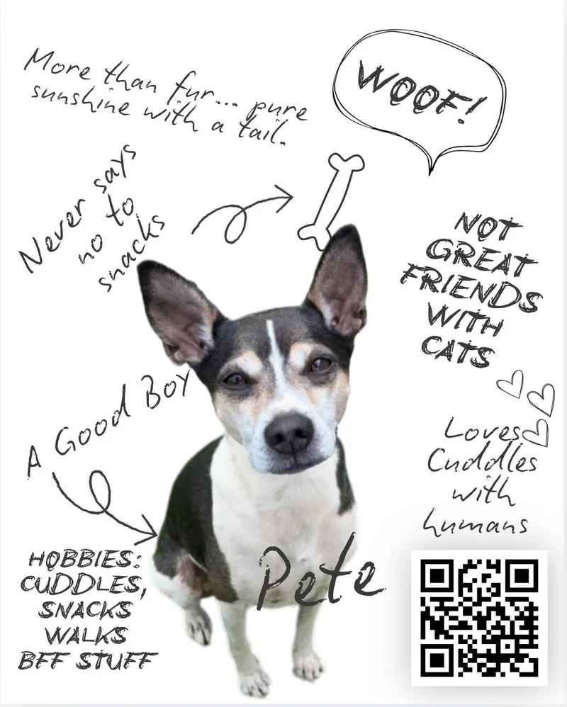Pistol Pete thumbnail 5