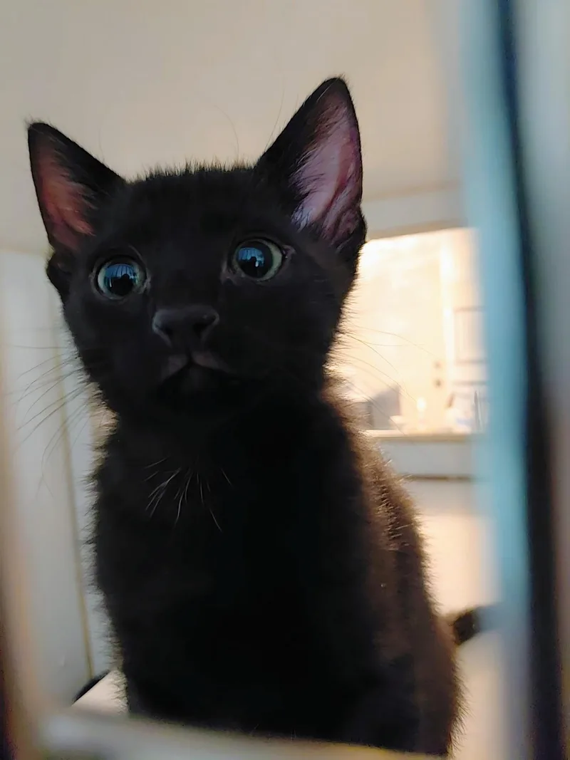 Sam