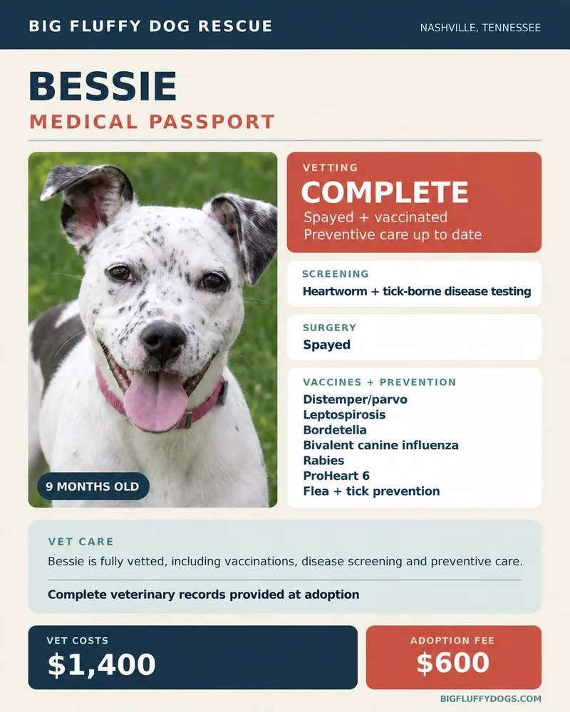 Bessie thumbnail 2