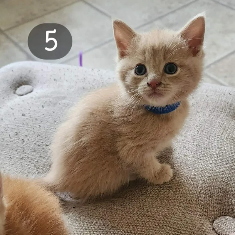 Murphy thumbnail 4