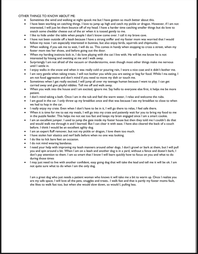 Forrest  Local April thumbnail 6